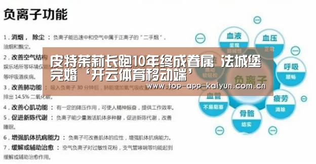 皮特茱莉长跑10年终成眷属 法城堡完婚‘开云体育移动端’(图3) 开云官网首页
