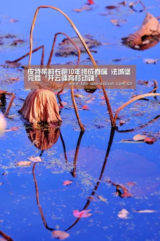 皮特茱莉长跑10年终成眷属 法城堡完婚‘开云体育移动端’(图2) 开云体育移动端