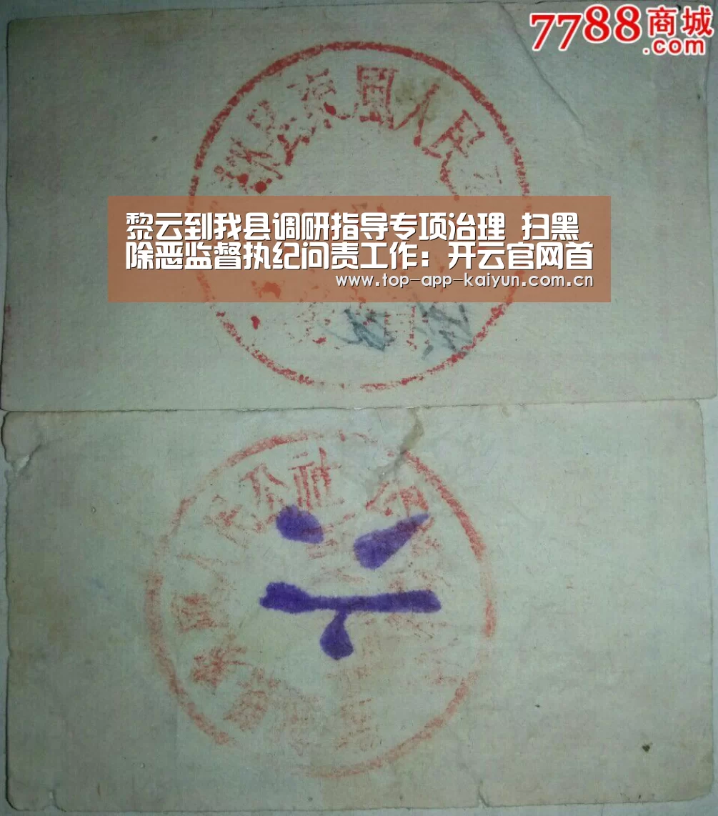 黎云到我县调研指导专项治理 扫黑除恶监督执纪问责工作:开云官网首页(图1) 开云官网首页
