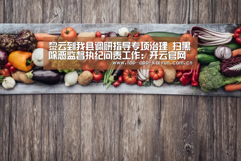 黎云到我县调研指导专项治理 扫黑除恶监督执纪问责工作:开云官网首页(图4) 开云体育移动端