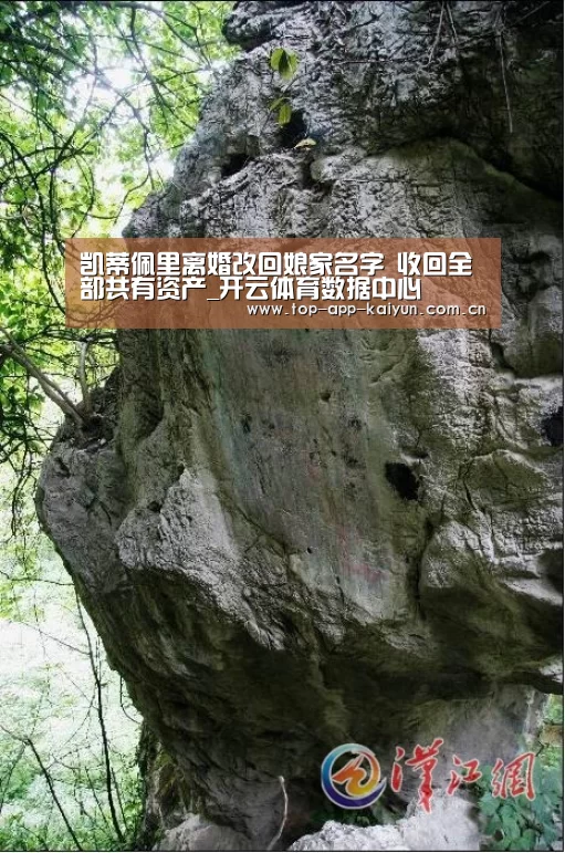 开云官网首页