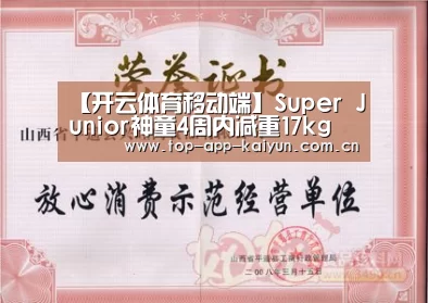 KAIYUN SPORTS