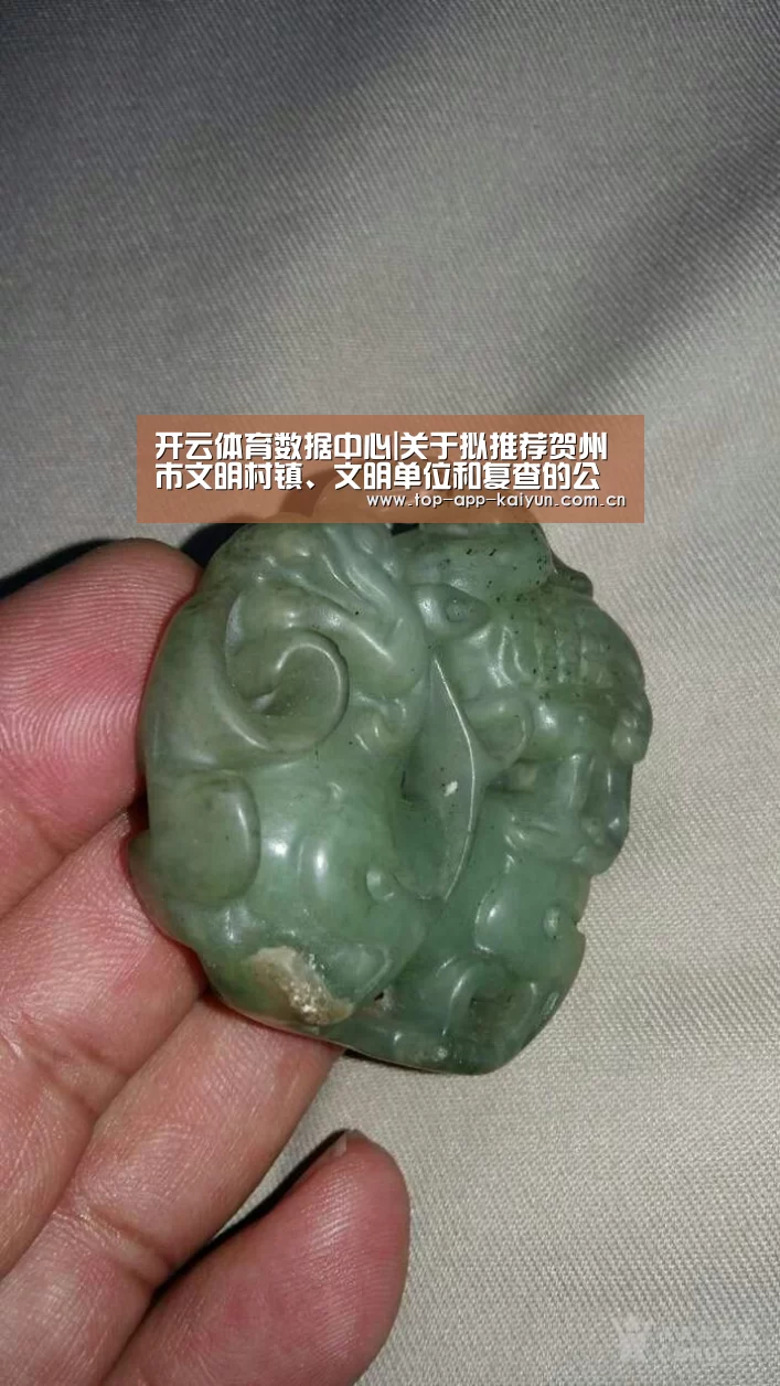 开云体育移动端