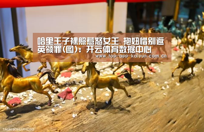开云官网首页