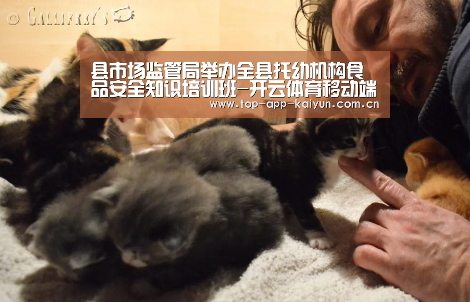 县市场监管局举办全县托幼机构食品安全知识培训班-开云体育移动端(图3) 开云体育官方入口