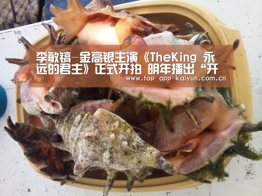 李敏镐-金高银主演《TheKing 永远的君主》正式开拍 明年播出“开云官网首页”(图2) 开云体育数据中心